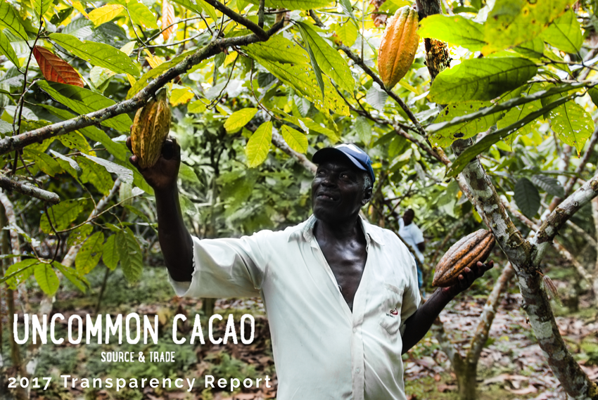 Our 2017 Transparency Report Has Landed!