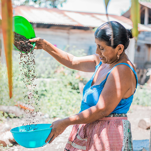 Luisa Eco winnowing fermented and dried cacao to make hot chocolate