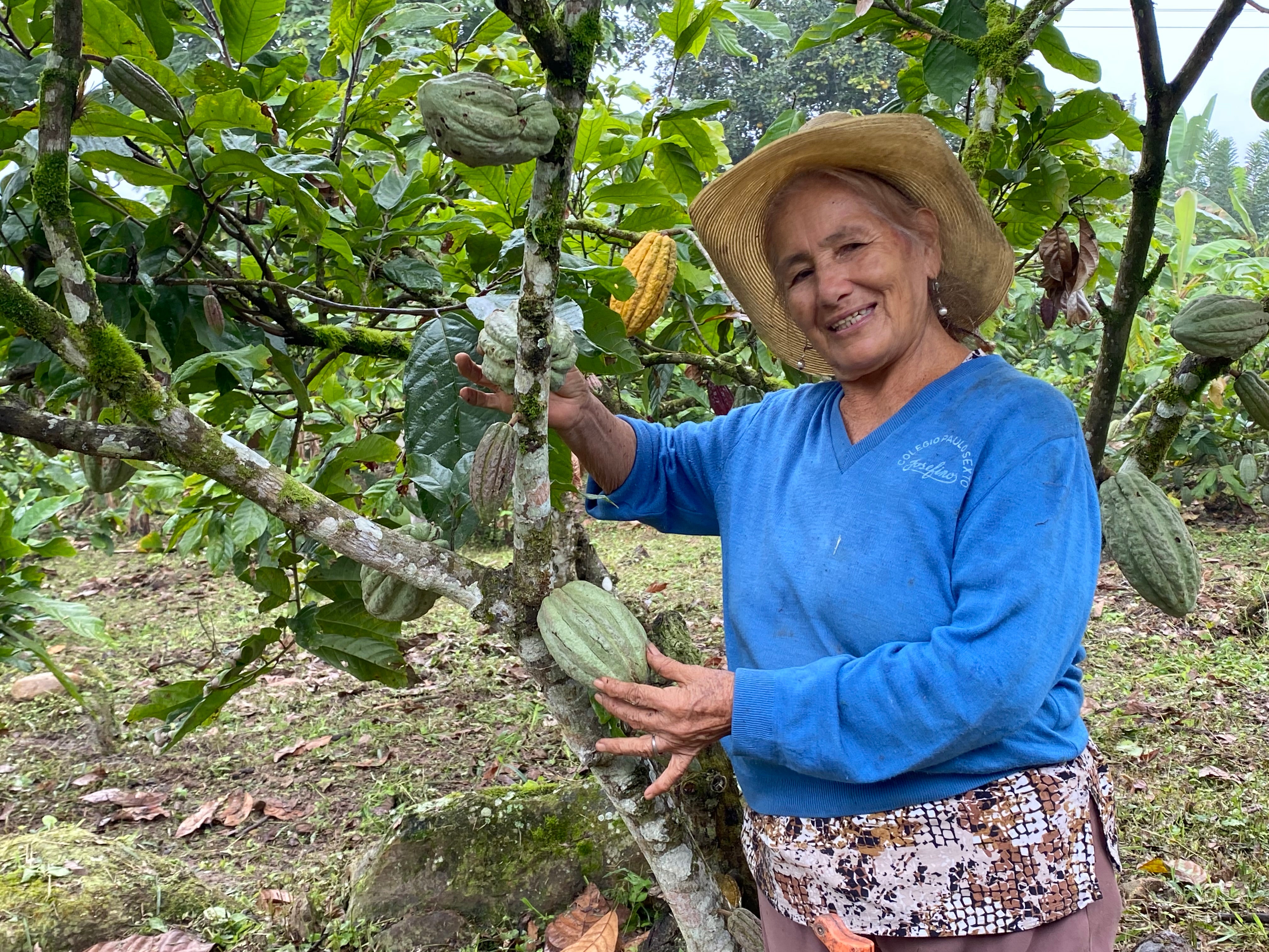 CECAO, Ecuador