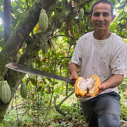 ECO CACAO, Ecuador