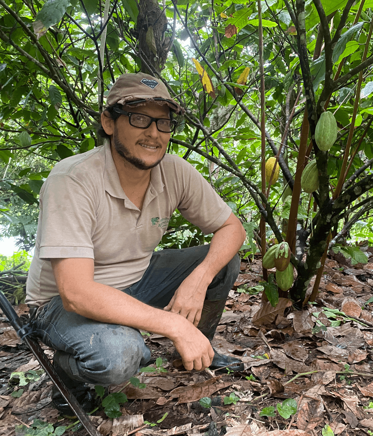 George Fletcher on his cacao farm 