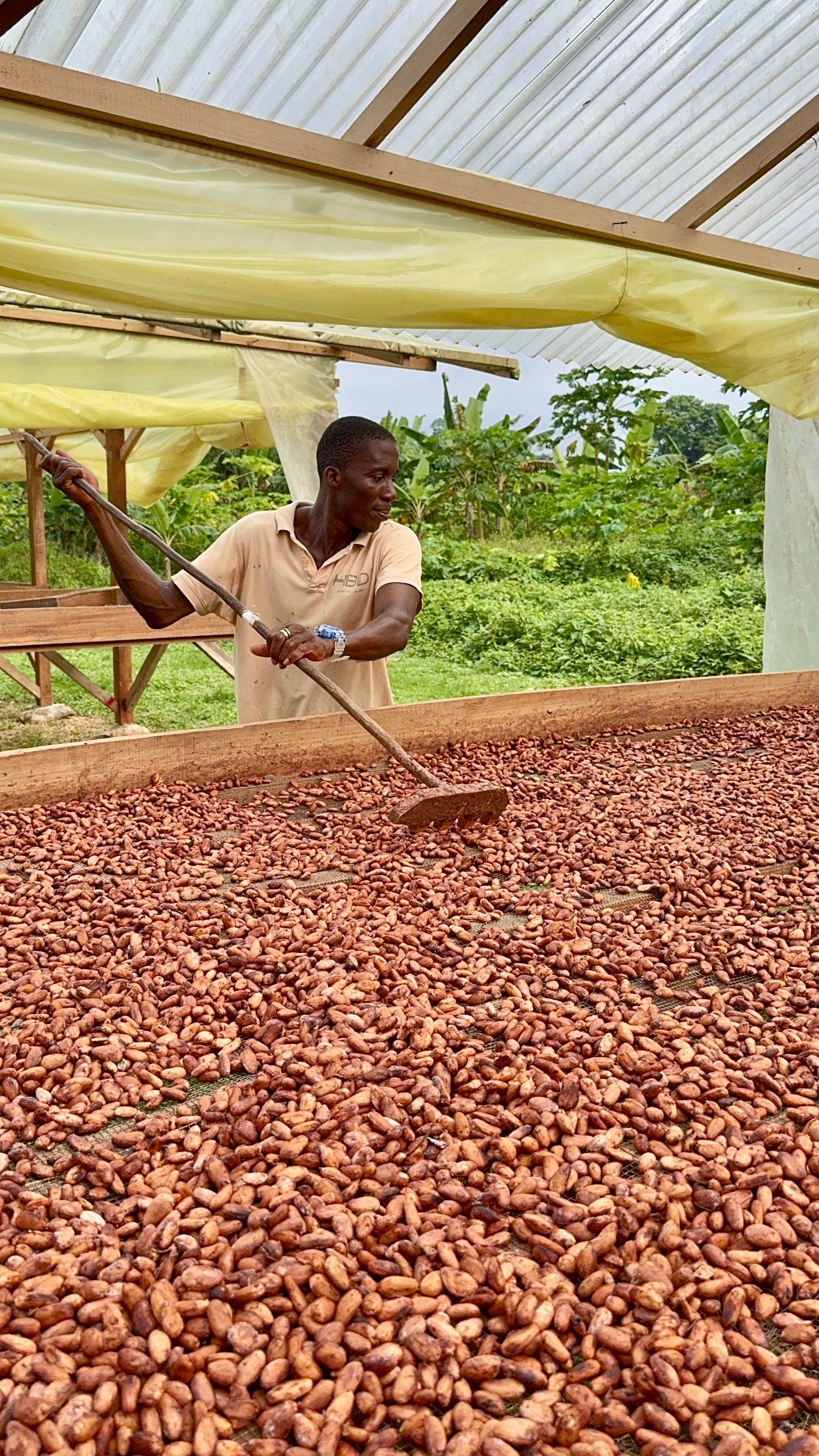 Roça Sundy, Principe