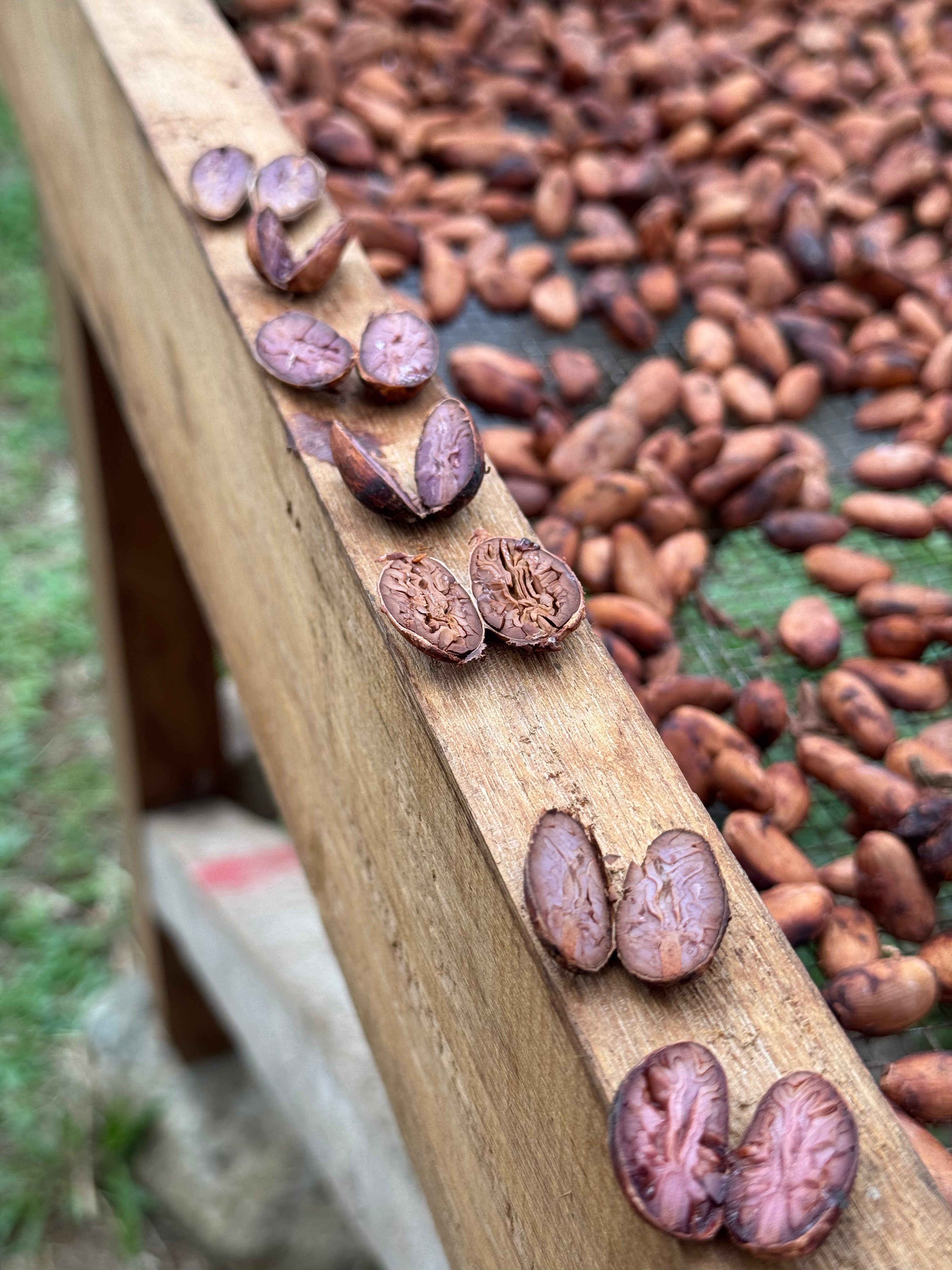 Roça Sundy, Principe