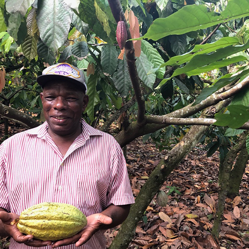 ÖKO-CARIBE, Dominican Republic