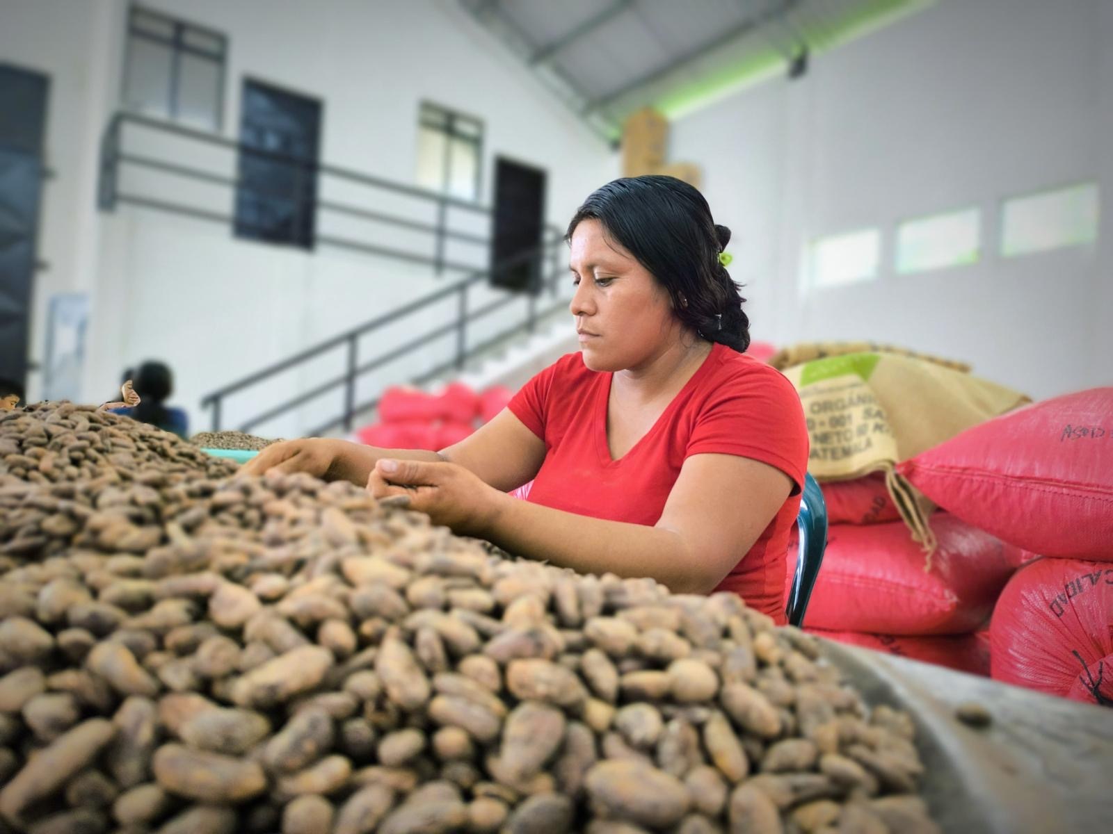 LACHUÁ, Guatemala - Wholesale