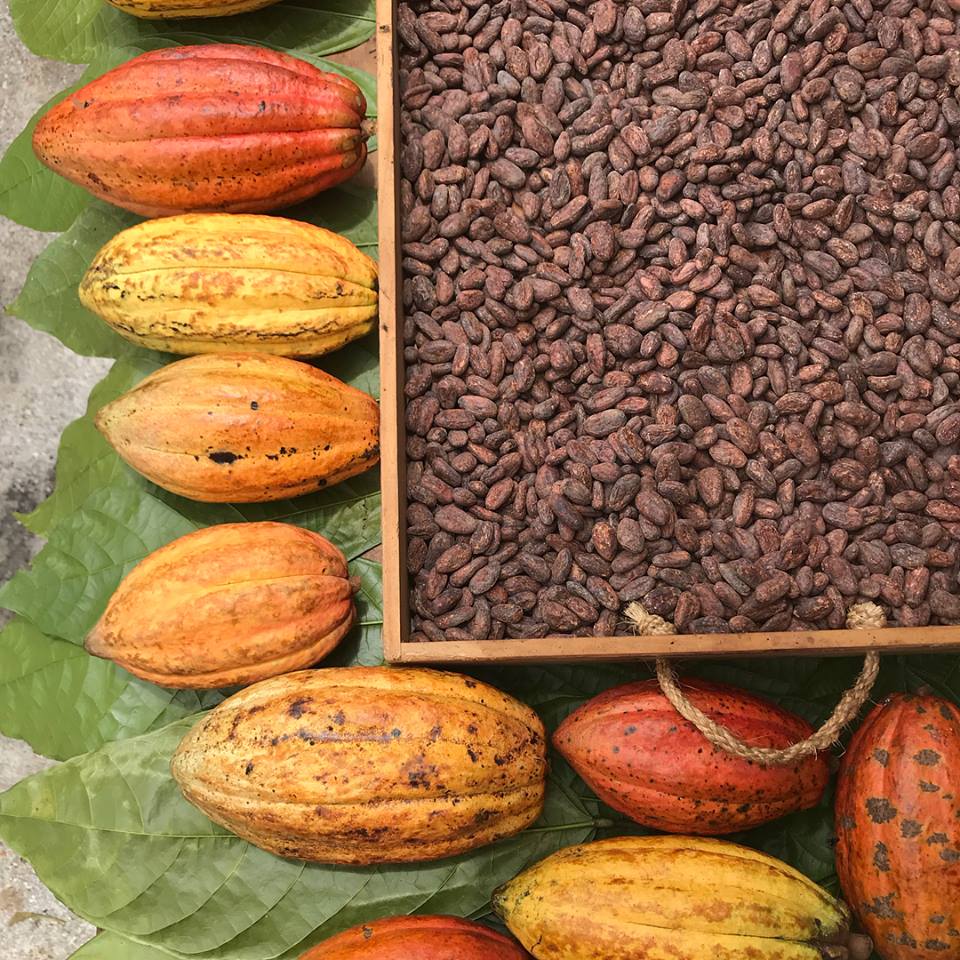 Update 1 from Guatemala chocolate Week!