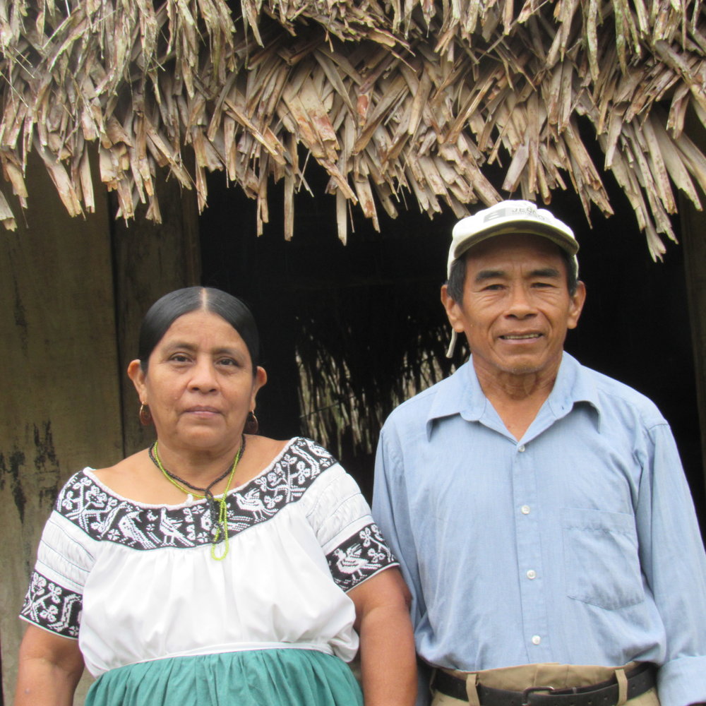 Maya Mountain Cacao -- Farmer Spotlight -- The Cho Family