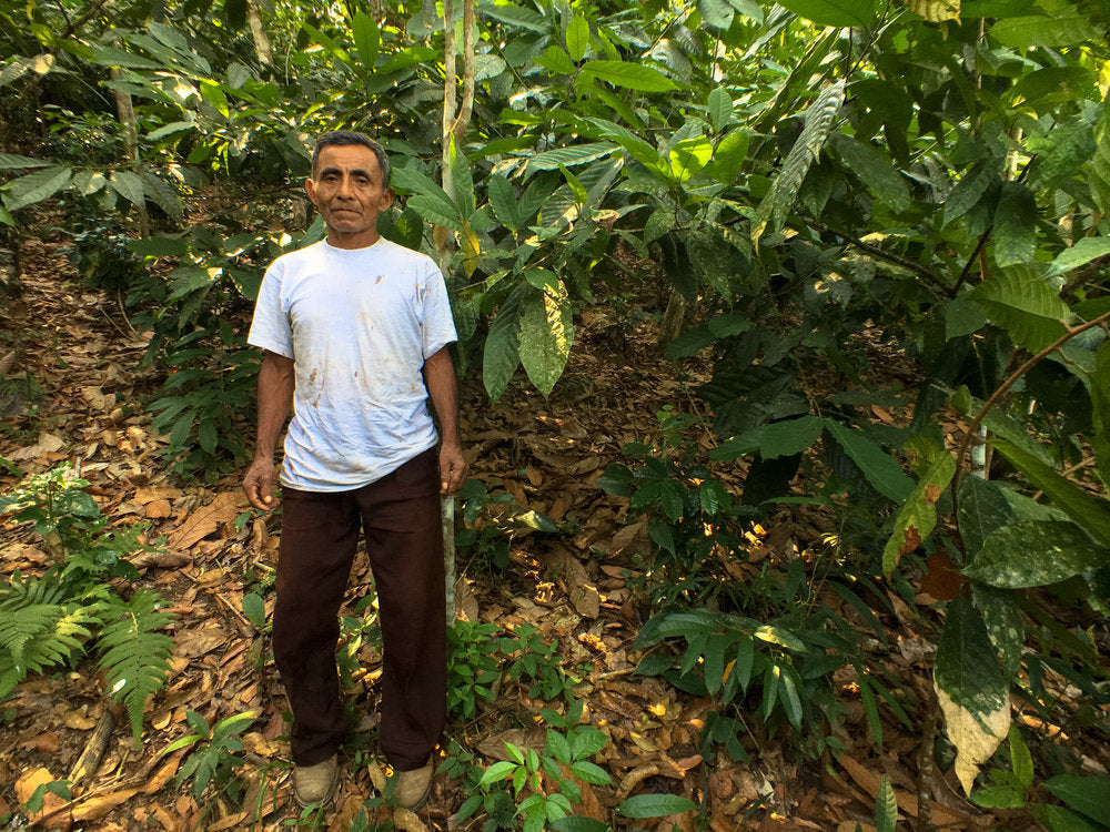 Farmer Interview: Santiago Sotz Cholom, Chivite Guatemala