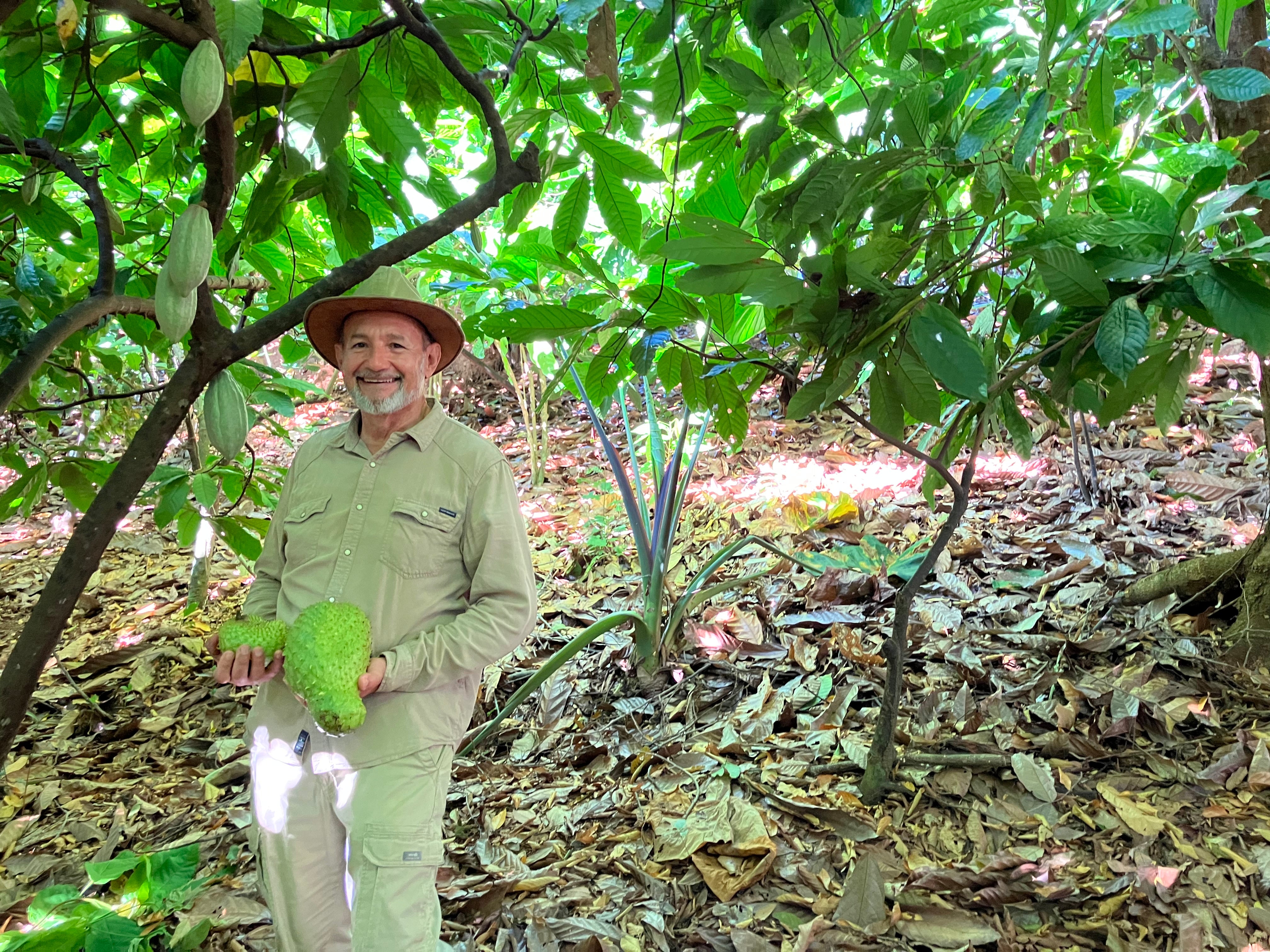 Hacienda Jeanmarie, Puerto Rico - Wholesale