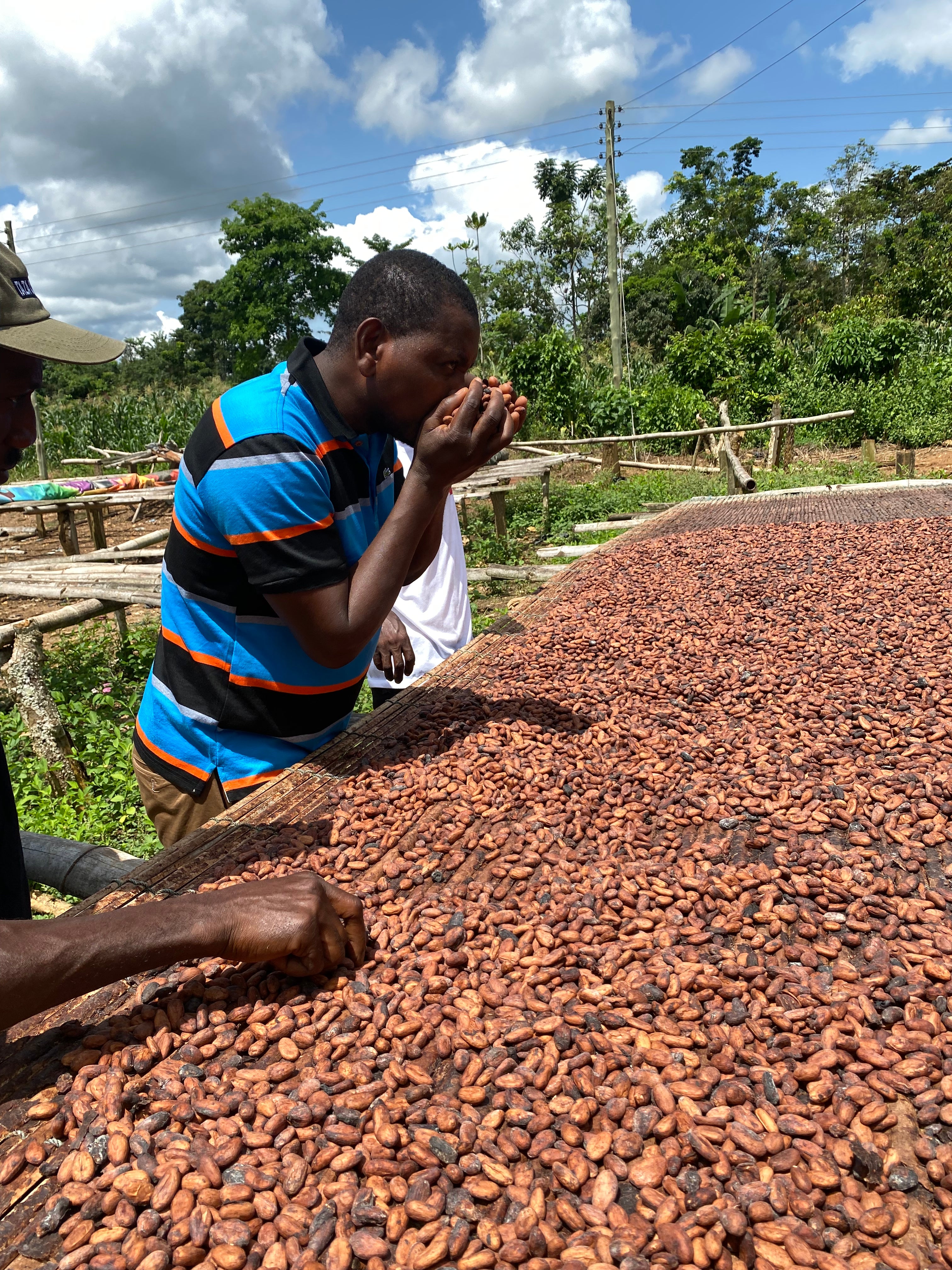 ABOCFA, Ghana