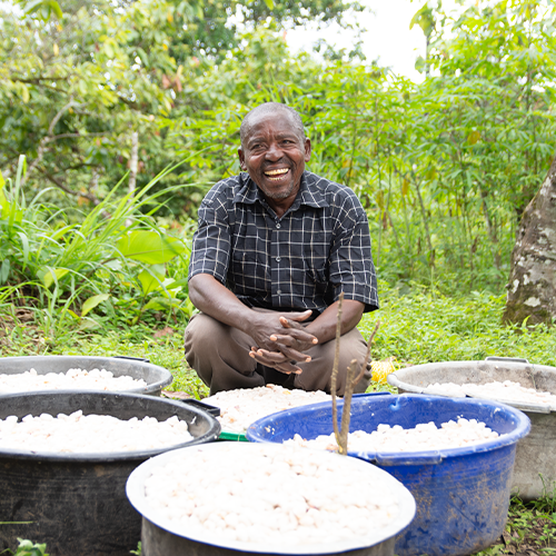 Isaac sits surrounded by freshly harvested cacao on a buying data